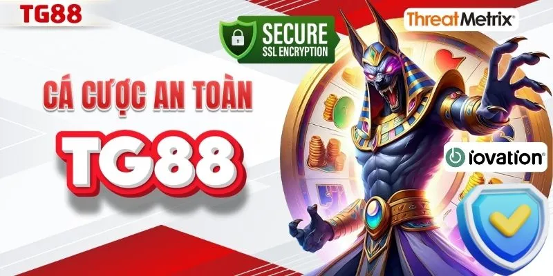 Không gian cá cược an toàn